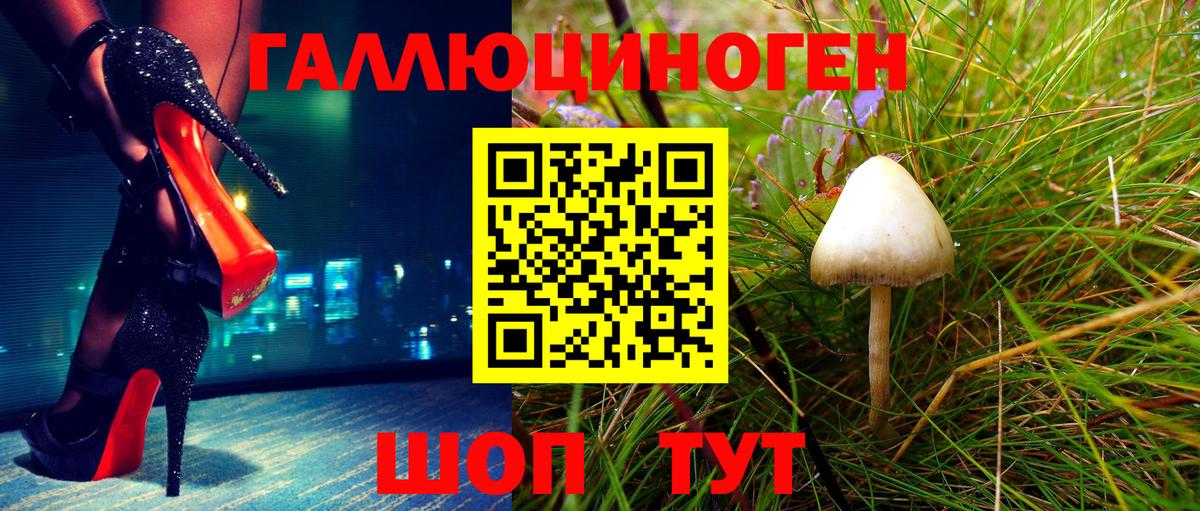 Усть-Илимск  Псилоцибиновые грибы мицелий  Псилоцибиновые грибы Cubensis  Вход с VPN 